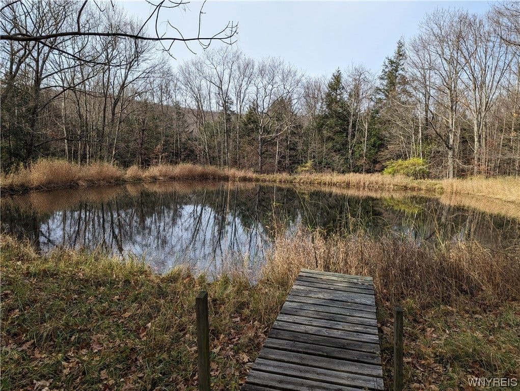 0 Vandermark Road, Scio, NY 14880 - Image 2
